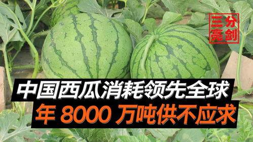 长春最新吃瓜事件爆料是真的吗,真相揭秘还是网络谣言？  第3张