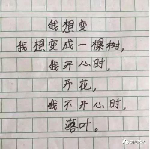 小学生最新爆料文案简短,校园奇闻轶事大揭秘！”  第2张