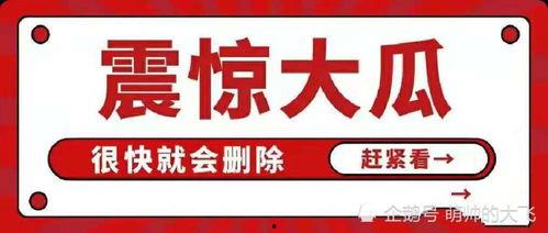 吃瓜娱乐有限公司,揭秘娱乐圈幕后故事,带你领略娱乐产业魅力 第2张 吃瓜娱乐有限公司,揭秘娱乐圈幕后故事,带你领略娱乐产业魅力 第2张