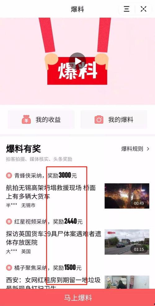 头条爆料视频要审核多久,约需1-2小时 第2张 头条爆料视频要审核多久,约需1-2小时 第2张