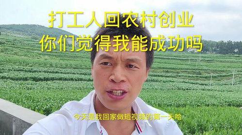 广东打工爆料视频最新版,揭秘打工生活真相与困境