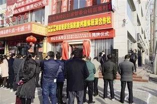 西安爆料高陵案件最新,西安爆料揭示惊人内幕  第3张 西安爆料高陵案件最新,西安爆料揭示惊人内幕  第3张