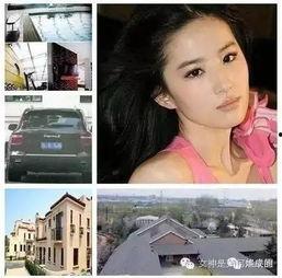 娱乐圈深度爆料第四,第四代明星崛起背后的秘密与风云  第3张 娱乐圈深度爆料第四,第四代明星崛起背后的秘密与风云  第3张