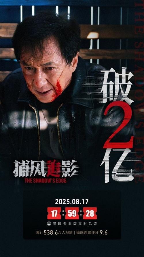 追影在线观看,在线观影，揭秘神秘追踪者的惊险旅程  第2张
