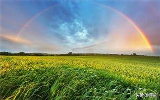 雨后彩虹爆料视频大全集,揭秘大自然奇观视频大全集  第3张 雨后彩虹爆料视频大全集,揭秘大自然奇观视频大全集  第3张