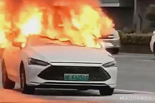 比亚迪海豚爆料视频最新,时尚智能小车,性能与颜值并重  第3张 比亚迪海豚爆料视频最新,时尚智能小车,性能与颜值并重  第3张